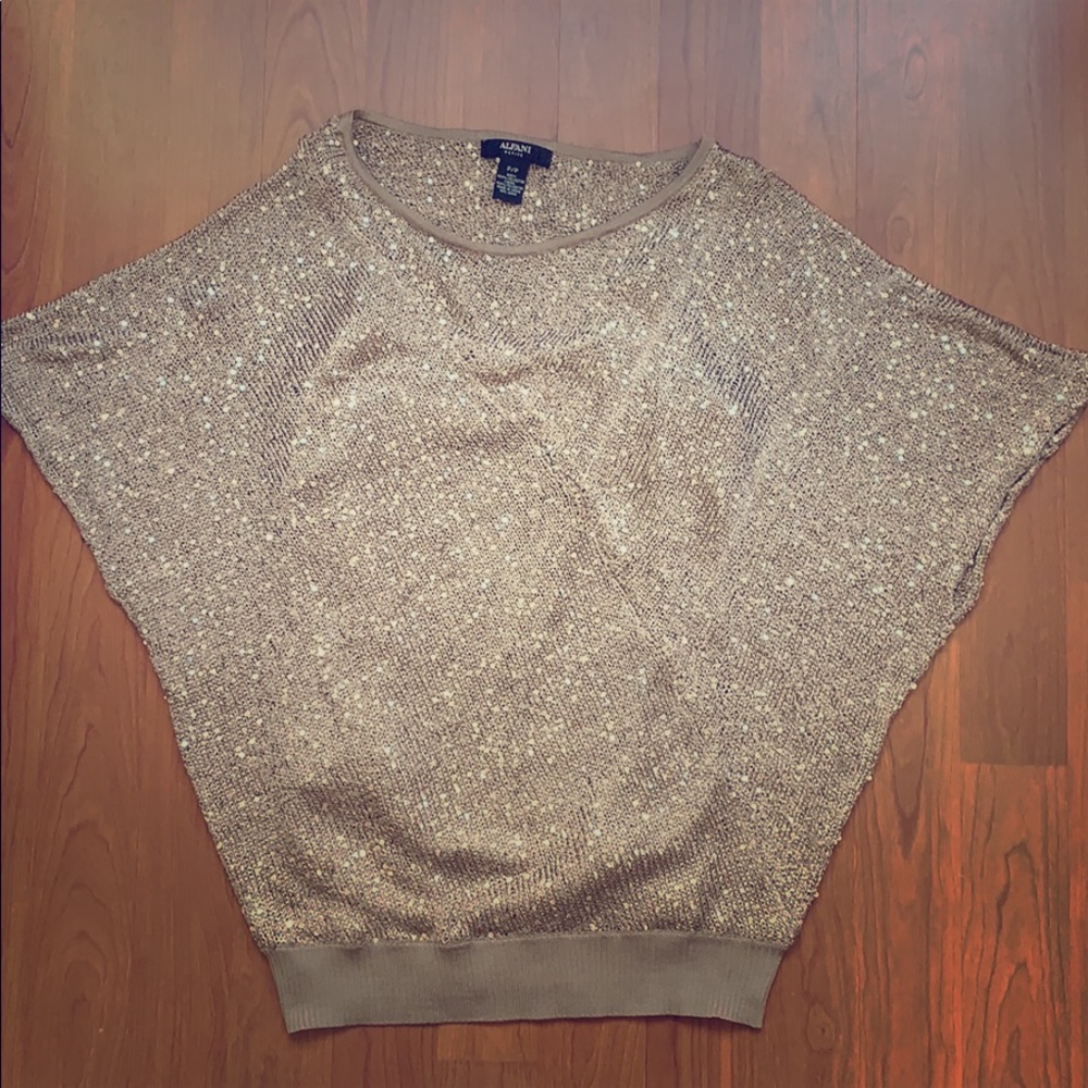 Champagne Mauve Knit Top with Metallic Sequins SzP